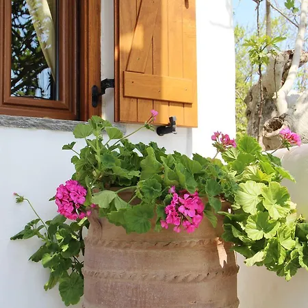 Axahas Appartement *