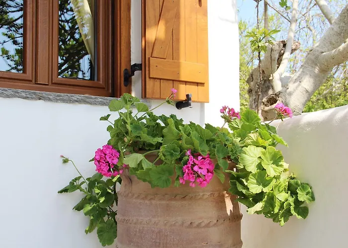 Axahas アパート *